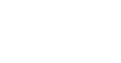 Aei logo white
